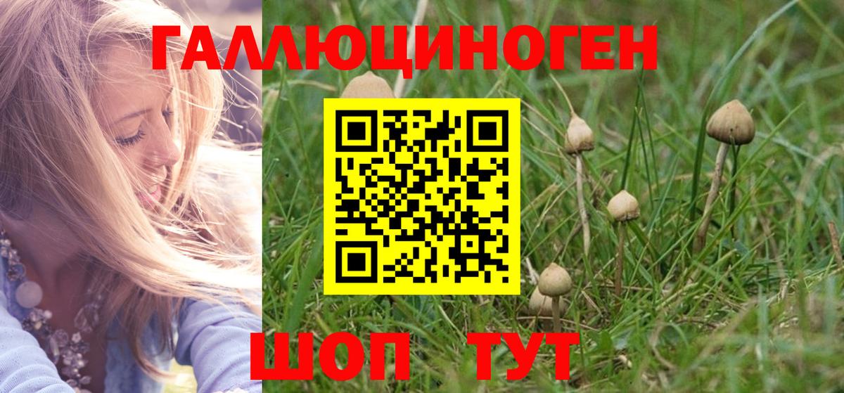 Псилоцибиновые грибы Psilocybine cubensis  Вход с VPN  Тольятти  Псилоцибиновые грибы Magic Shrooms 