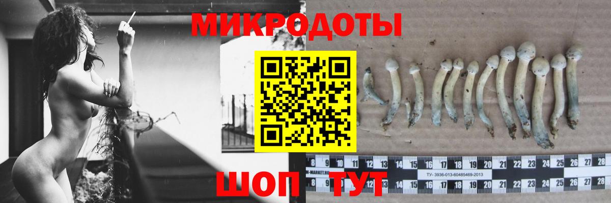 Псилоцибиновые грибы ЛСД Тольятти
